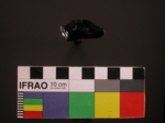 V23d4102 A16q856.1 U904 dM bl f313.jpg